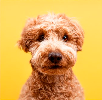 Аватар пользователя Мария