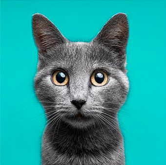 Аватар пользователя Елена